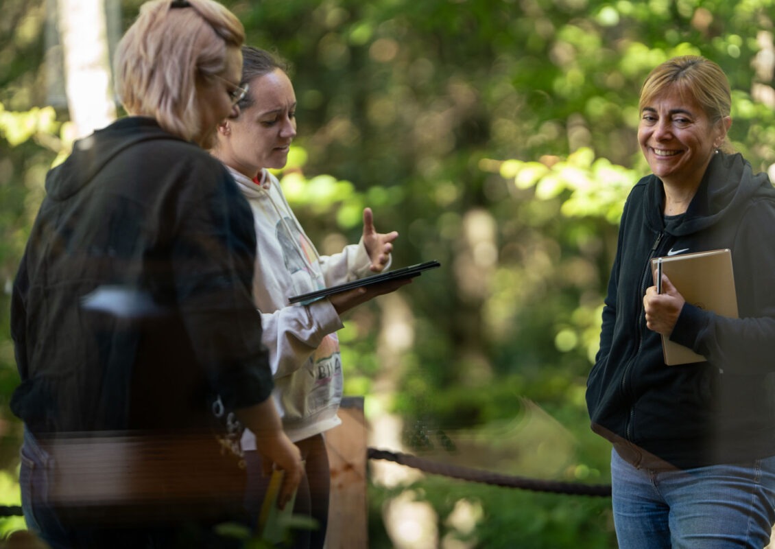 Treehouse Retreat Getaway Learning Trainers Facilitators