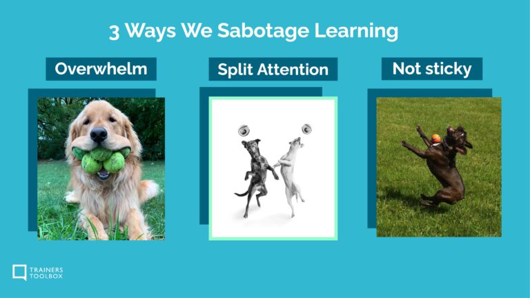 3 traps of brain-based learning